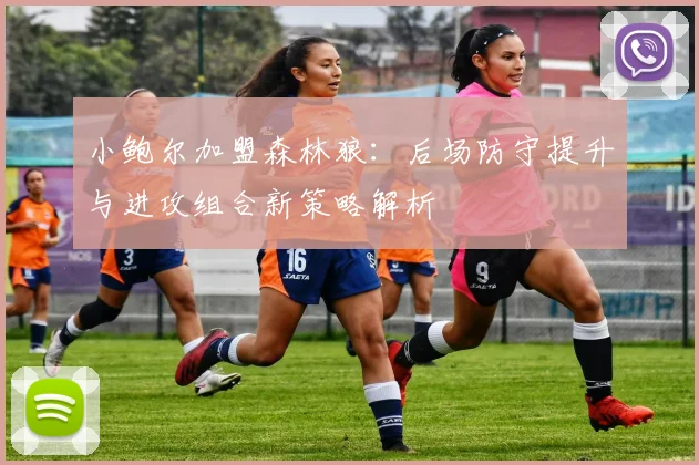小鲍尔加盟森林狼:后场防守提升与进攻组合新策略解析